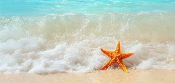 Starfish Package