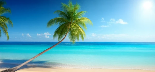 Palm Tree Package